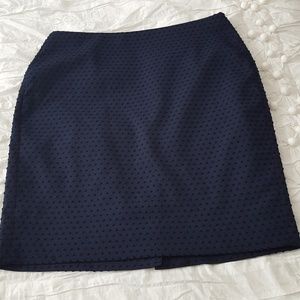 Banana Republic 8P Navy textured polka dot skirt
